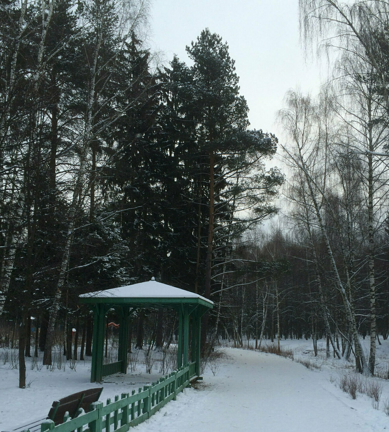 Бутовский лесопарк, Москва ­