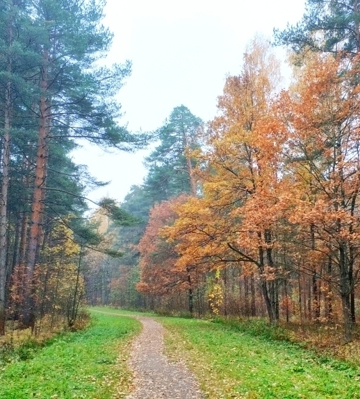 Пролетаркий парк, Петергоф ­