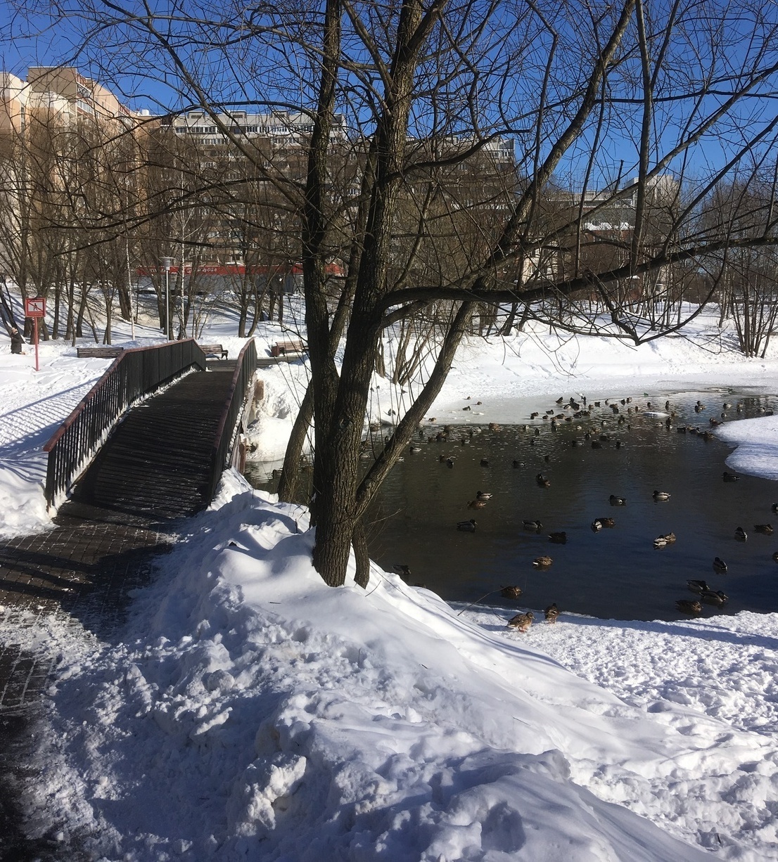 Северное Бутово, Москва ­