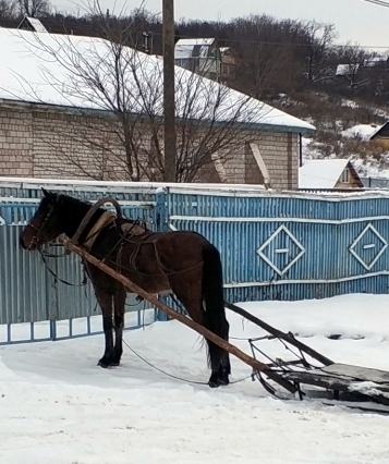 Чесноковка, Уфа