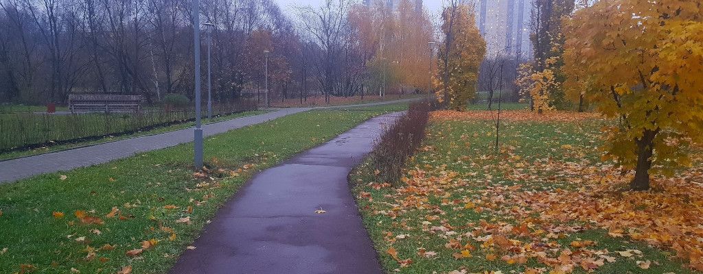 Москва, Парк Школьников, 03.11.2018