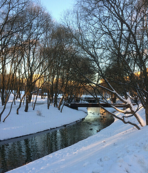 Северное Бутово, Москва ­