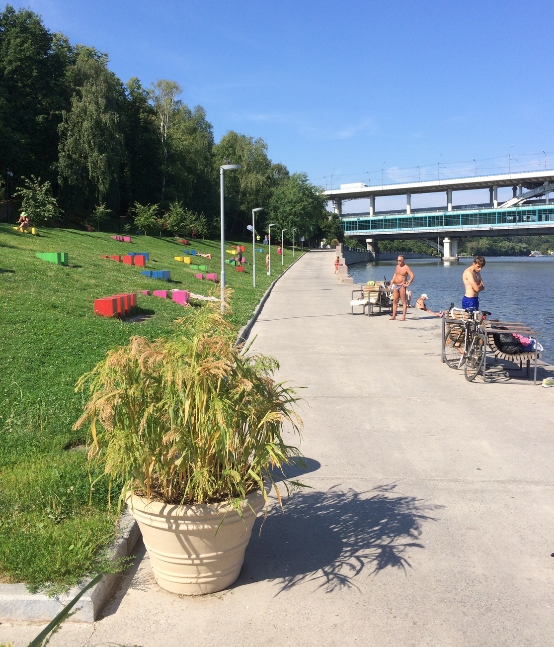 Parkrun в парке Горького, Москва ­